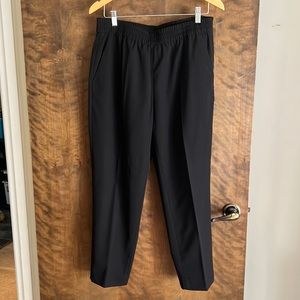 Everlane The Italian Wool GoWeave Easy Pant 10